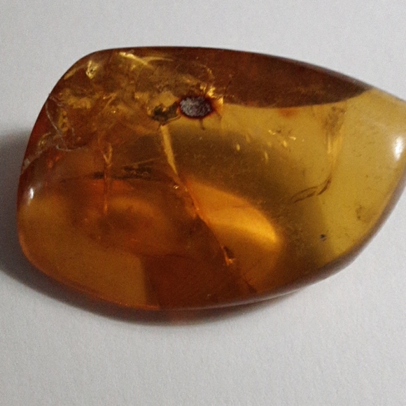 Baltic Amber - Picture 4 of 5